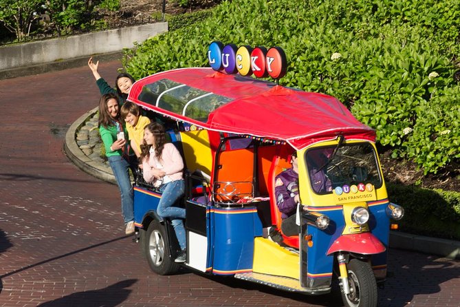 San Francisco Private Group City Tour - Lucky Tuk Tuk - Alamo Square, Golden Gate Park, and the western city