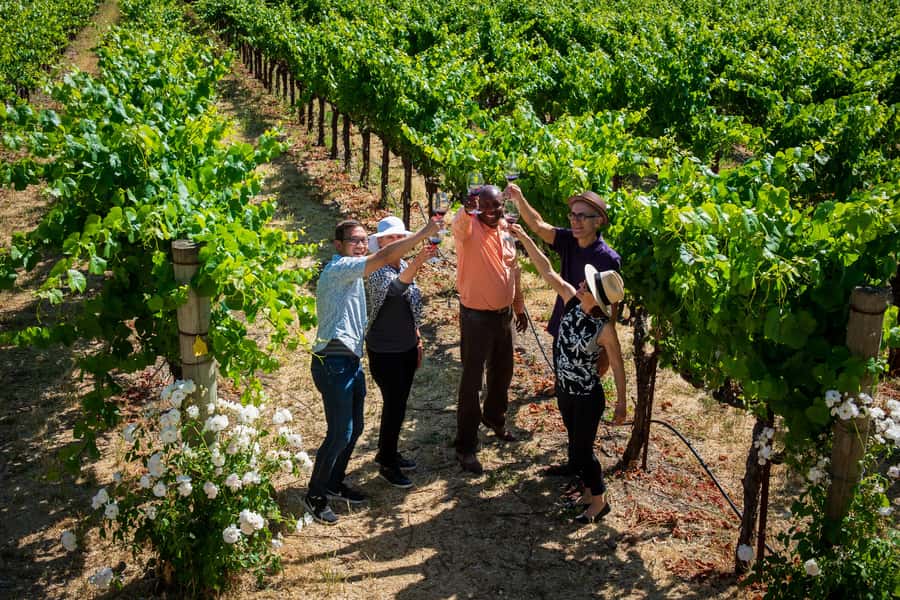 San Francisco: Redwood & Wine Country Tour with Lunch & Wine - The Golden Gate stop at the end of the day