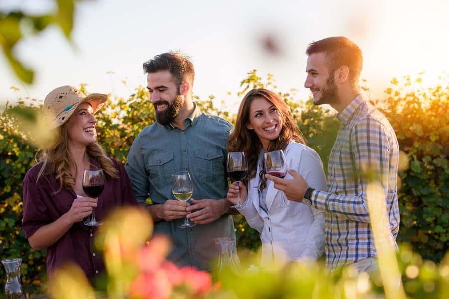 San Francisco: Redwood & Wine Country Tour with Lunch & Wine - Morning pickup and the ride across the Golden Gate
