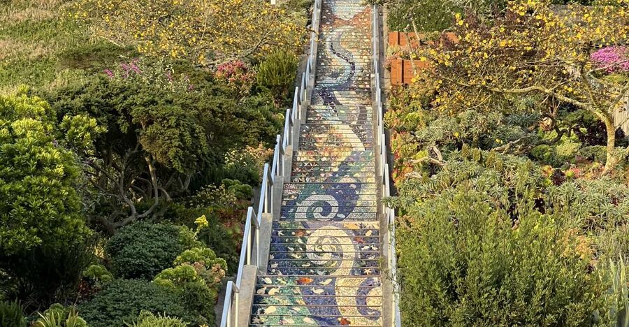 San Francisco's Wild Side, Ecotour With Meteorologist - Inner Sunset, sourdough, and ordinary city life