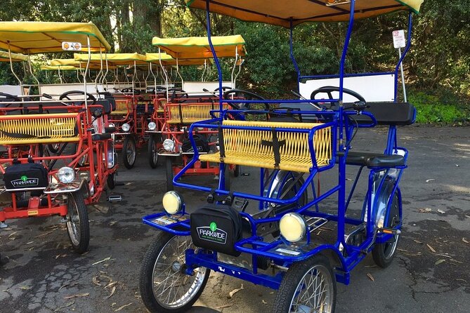 San Francisco: Scenic Surrey Ride Through Golden Gate Park - Key points to know before you book