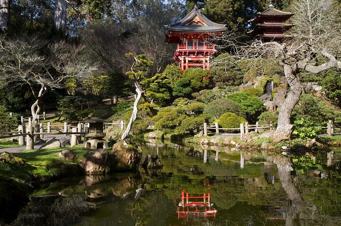 San Francisco: Scenic Surrey Ride Through Golden Gate Park - Stow Lake and the return ride