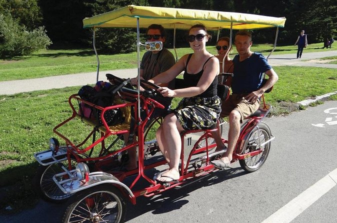 San Francisco: Scenic Surrey Ride Through Golden Gate Park - What the $35 price really buys