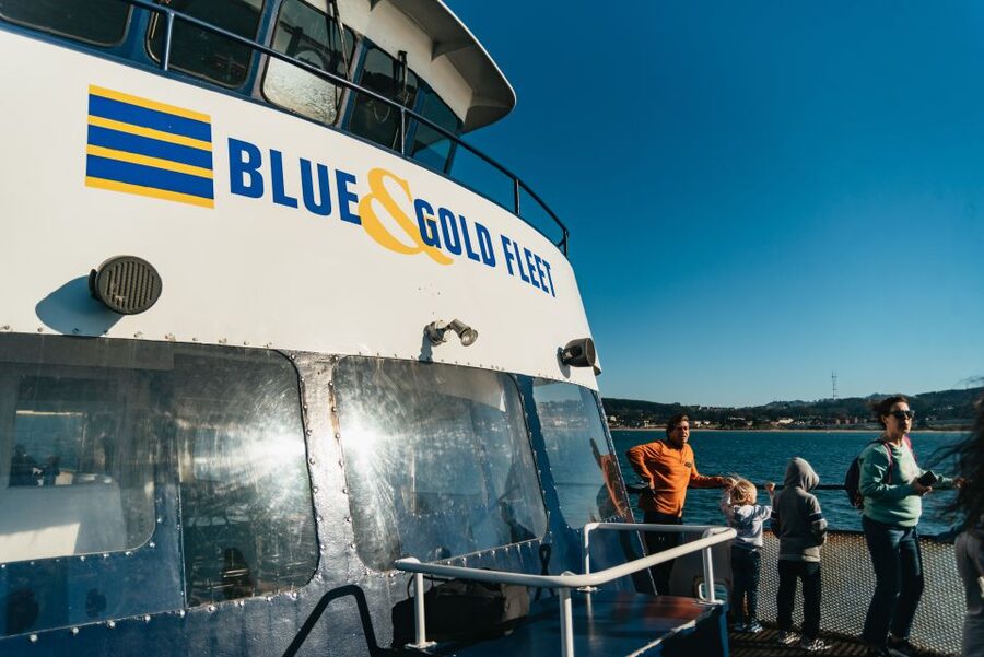 San Francisco: Skip-the-Line 1-Hour Bay Cruise by Boat - Key points at a glance