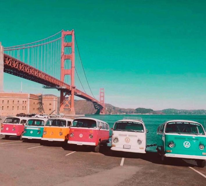 San Francisco: Small-Group City Tour by Vintage VW Bus - Painted Ladies and the familiar San Francisco postcard