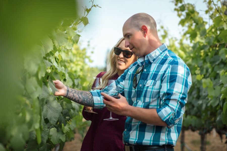 San Francisco: Sonoma Wine Country Tour with Tastings - Key points at a glance