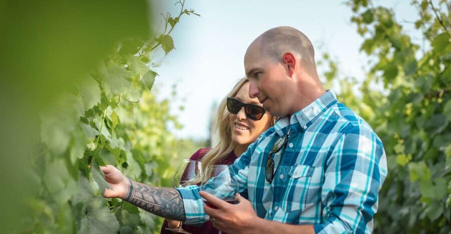 San Francisco: Sonoma Wine Country Tour with Tastings - Three wineries, one day, and a lot of Bay Area scenery