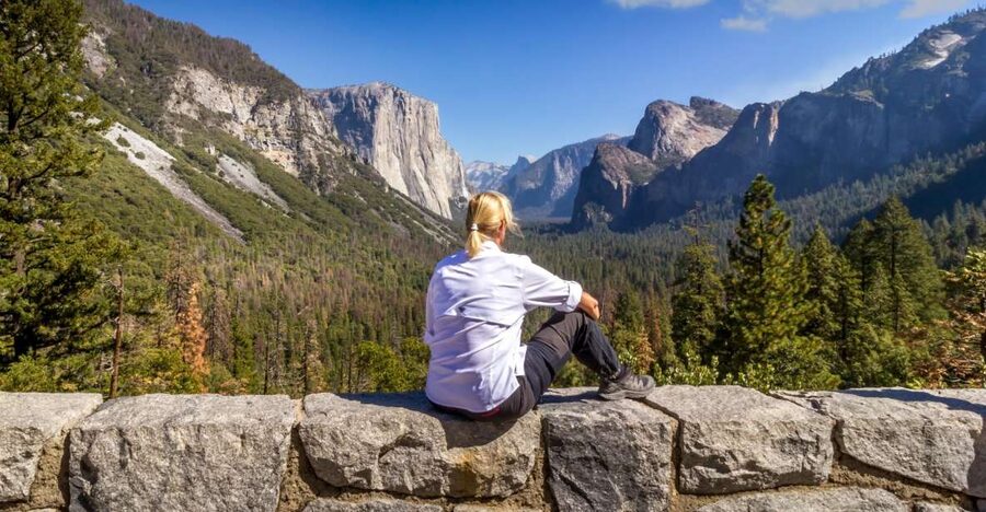 San Francisco to/from Yosemite National Park: 1-Way Transfer - Who should book this transfer?