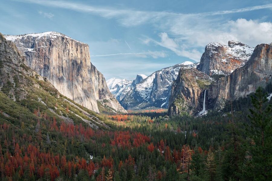 San Francisco to/from Yosemite National Park: 1-Way Transfer - Making the most of your free time
