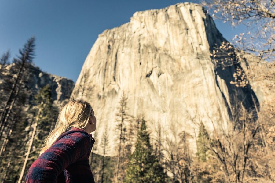 San Francisco to/from Yosemite National Park: 1-Way Transfer - Languages, guides, and the level of support