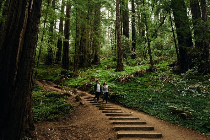 San Francisco to Muir Woods Shuttle - Muir Woods: the reason to take the trip