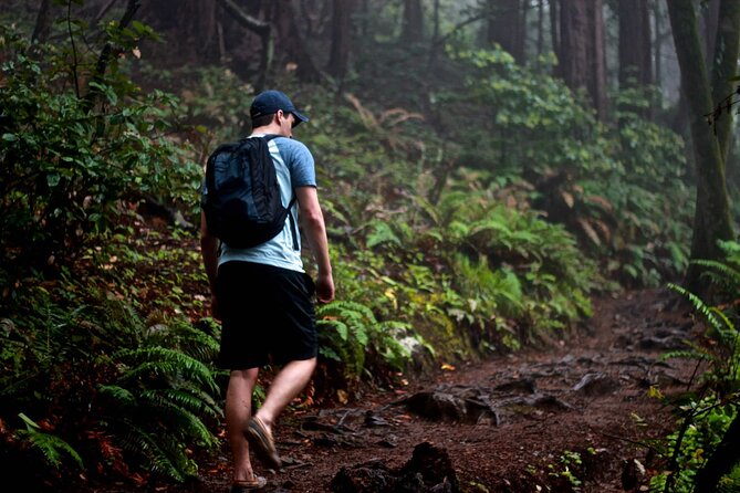 San Francisco to Muir Woods Shuttle - Is $79 a fair price?