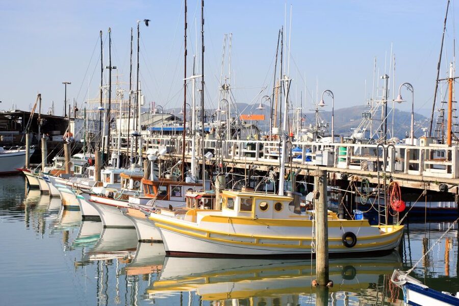 San Francisco Ultimate City Tour with Bay Cruise Option - The optional Bay cruise past Alcatraz