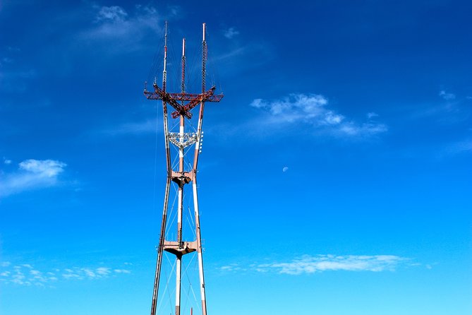 San Francisco Urban Hike: Castro and Twin Peaks - The eucalyptus forest behind Sutro Tower
