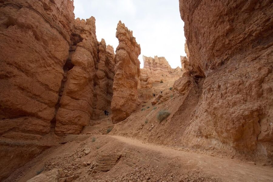 San Francisco: Yosemite, Las Vegas, Bryce & Zion, 6-Day Tour - Key points to know before booking