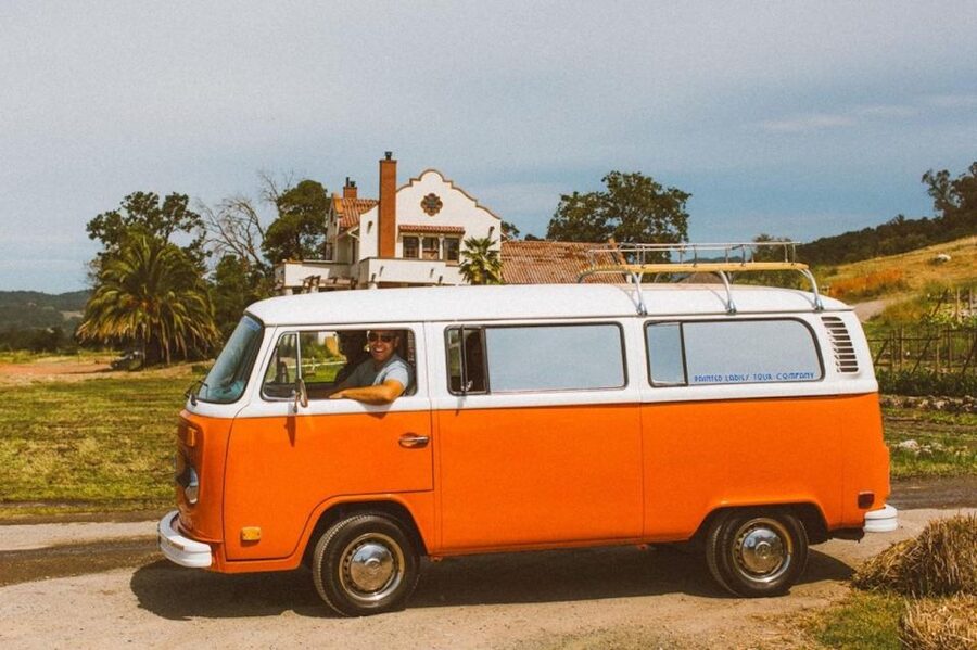 San Fransisco: Vintage VW Bus Wine Country Tour Small Group - The organic wine cave brings the winemaking process closer