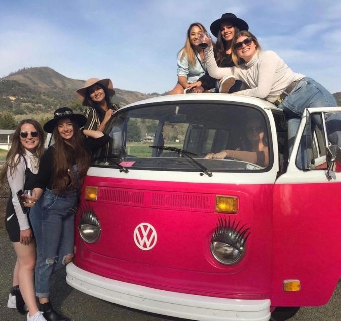 San Fransisco: Vintage VW Bus Wine Country Tour Small Group - Who will enjoy this Sonoma day most