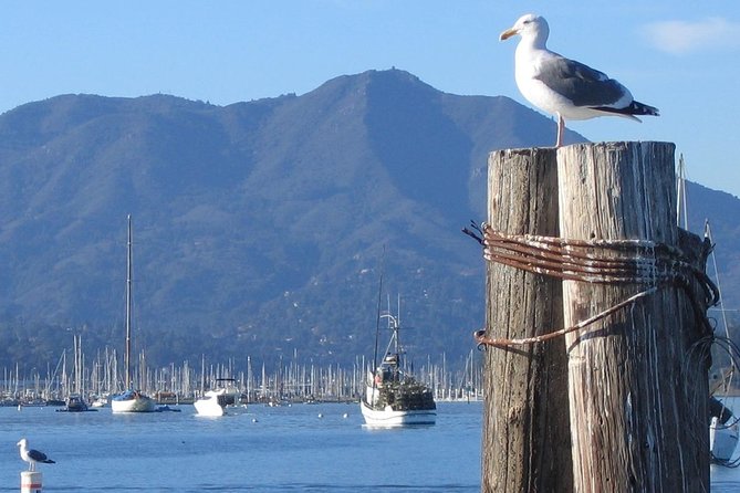 Sausalito Ferry from Pier 41, San Francisco - Small details that give Sausalito character