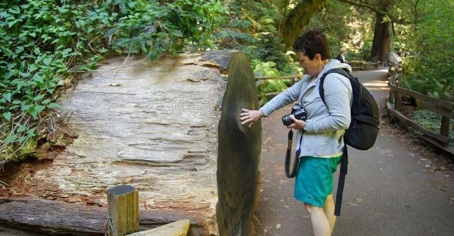 SF: Guided Muir Woods Tour & Hop-On Hop-Off Tour (Save 15%) - Key points to know before booking