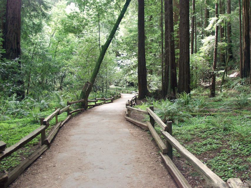 SF: Guided Muir Woods Tour & Hop-On Hop-Off Tour (Save 15%) - The Chinatown walking tour