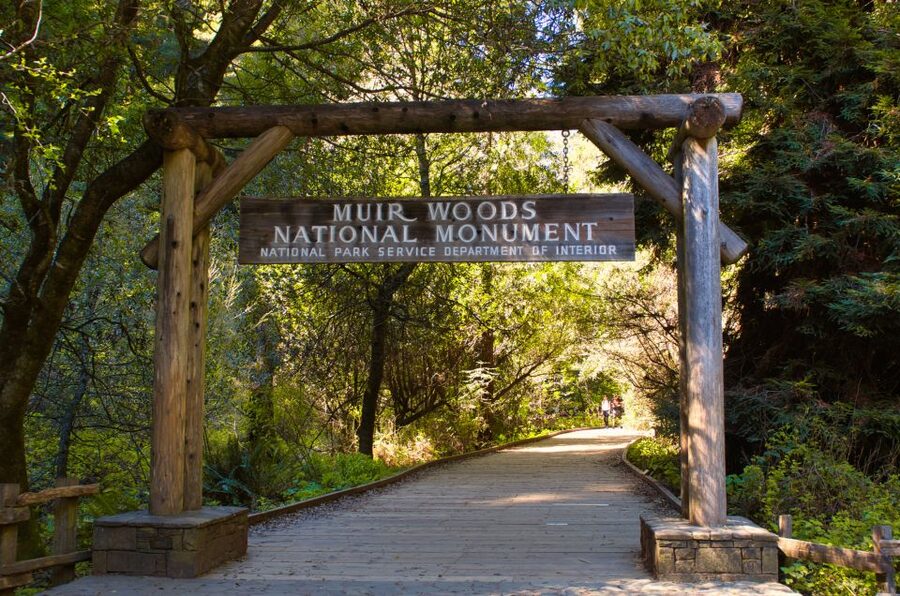 SF: Muir Woods, Sausalito, Golden Gate Bridge Private Tour - Walking beneath the redwoods at Muir Woods