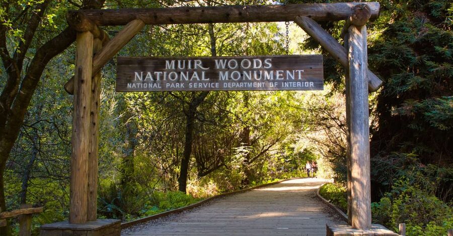 SF: Muir Woods, Sausalito, Golden Gate Bridge Private Tour - A slower hour in Sausalito