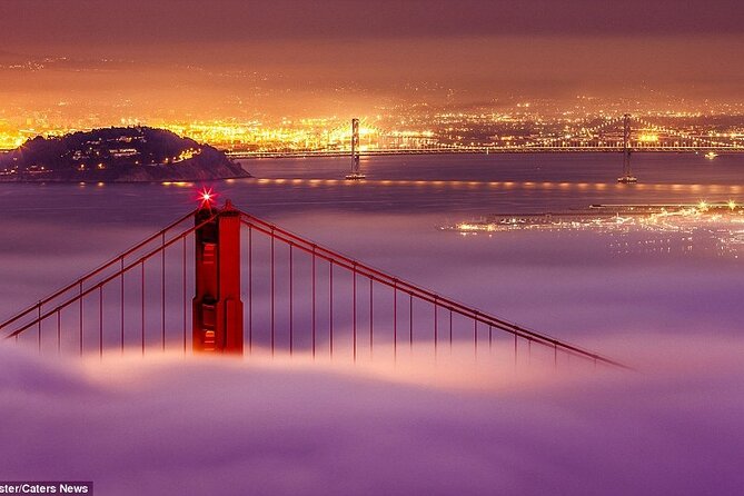 SFO Pick-Up with City Sightseeing Tour - Ocean Beach, Golden Gate Park, and Twin Peaks