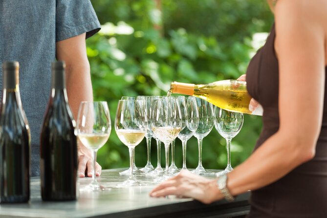 Small-Group Giant Redwoods and Russian River Wine Country Trip - Key details before you book