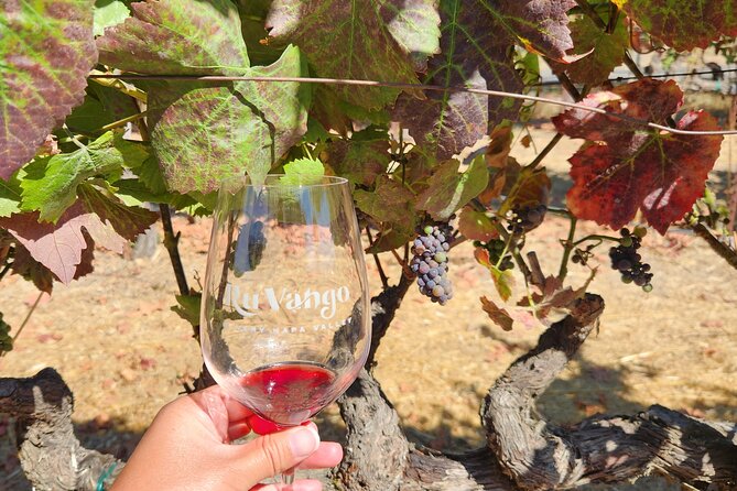 Small Group Napa and Sonoma Full-Day Wine Tour from San Francisco - Sonoma Plaza: your 90-minute break for lunch