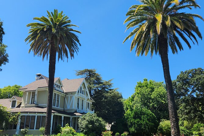 Small Group Napa and Sonoma Half-Day Wine Tour from San Francisco - The long ride home and practical comfort