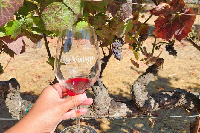 Small Group Napa and Sonoma Half-Day Wine Tour from San Francisco - Is the optional sightseeing package worth considering?