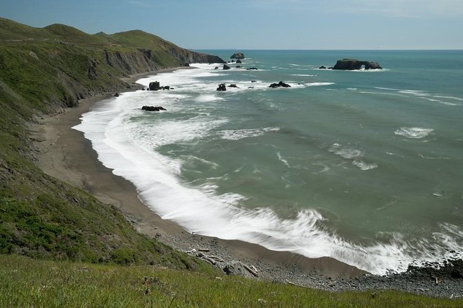 Small Group Redwoods, California Coast & Sausalito Day Trip from San Francisco - Why this 10-hour North Bay route works
