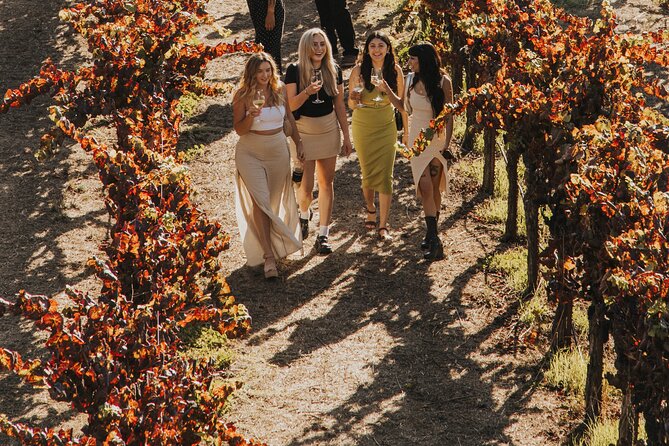Small Group: Ultimate Napa & Sonoma Wine Tour from San Francisco - Guides, vehicles, and the small-group feel