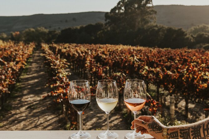 Small Group: Ultimate Napa & Sonoma Wine Tour from San Francisco - Who should book this wine country day