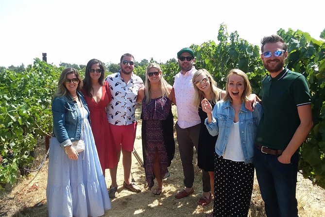 Small-Group Wine Country Tour from San Francisco with Tastings - Three wineries, with the lineup subject to change