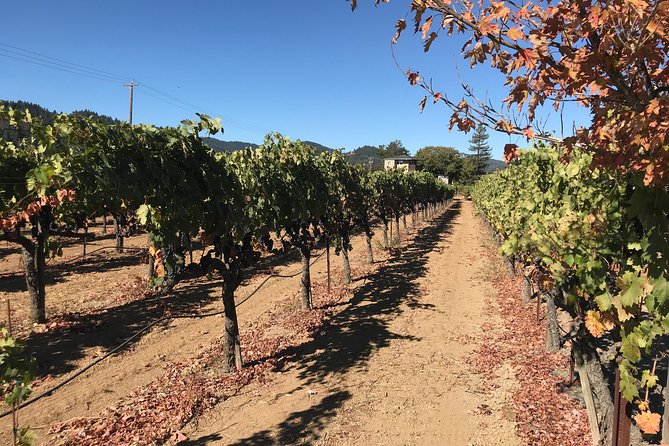 Small-Group Wine Country Tour from San Francisco with Tastings - Timing, pickup, and what to wear