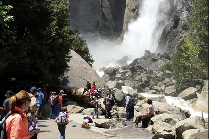 Small Group Yosemite and Giant Sequoias Day Trip from San Francisco - Bridalveil Fall and Yosemite’s moving water