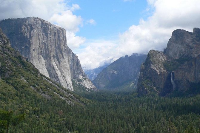 Small Group Yosemite and Giant Sequoias Day Trip from San Francisco - Tuolumne Grove: your first walk among giant sequoias