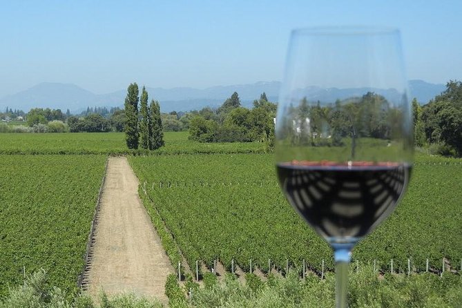Sonoma Wine Tour with 2 Tastings Included Small-Group Half Day - The Golden Gate Bridge photo stop takes only 15 minutes