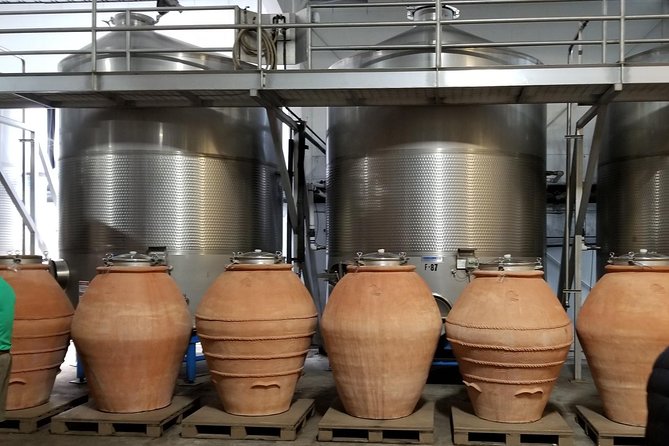 Sonoma Wine Tour with 2 Tastings Included Small-Group Half Day - Your guide can shape the whole afternoon