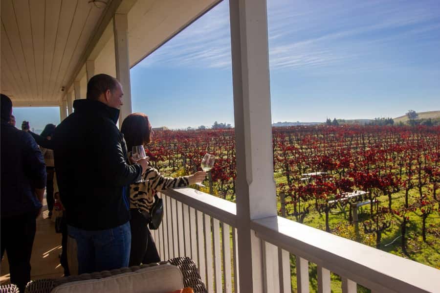 The Ultimate Napa & Sonoma Wine Tour - Starting at Columbus Avenue