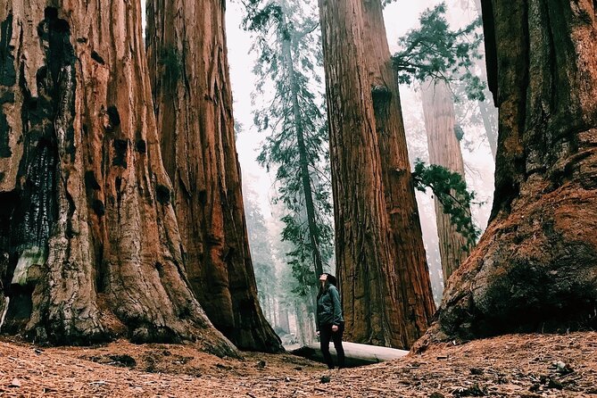 Yosemite 3-Day Lodging Adventure from San Francisco - El Portal lodging with a campfire feel