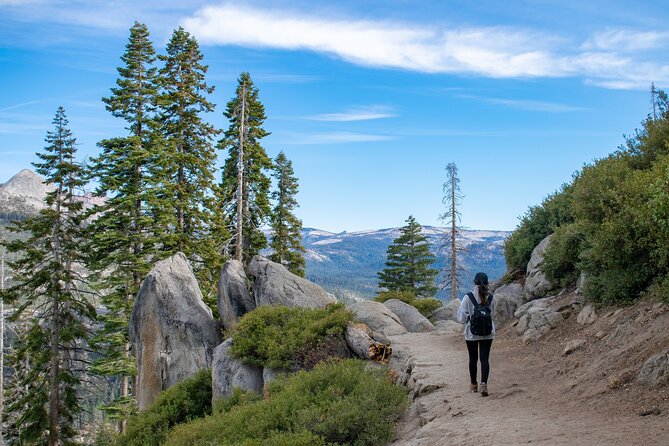 Yosemite 3-Day Lodging Adventure from San Francisco - Tuolumne Grove and the return climb