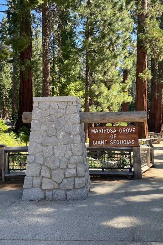 Yosemite, Giant Sequoias, Private Tour from San Francisco - Key points to know before you book