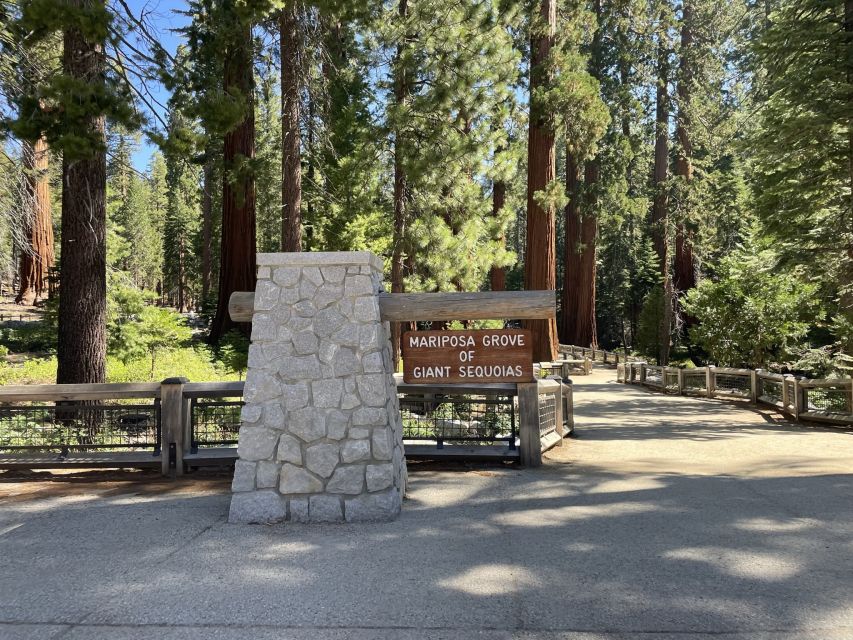 Yosemite, Giant Sequoias, Private Tour from San Francisco - A very long day made easier by a private vehicle