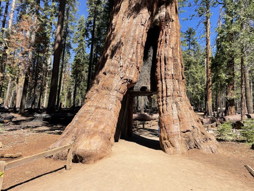 Yosemite, Giant Sequoias, Private Tour from San Francisco - Bridalveil Fall means spray, not just a photograph