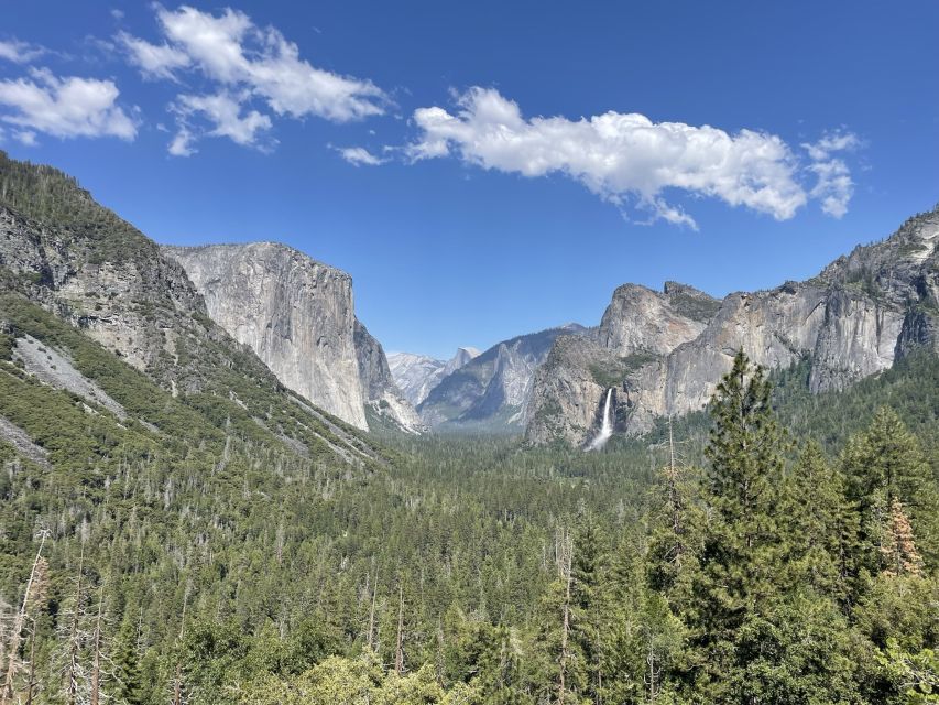 Yosemite, Giant Sequoias, Private Tour from San Francisco - Lower Yosemite Fall brings you close to the water