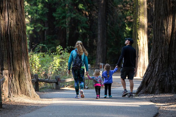 Yosemite Highlights & Giant Sequoias Day Tour from San Francisco - Why this day trip works for a first Yosemite visit