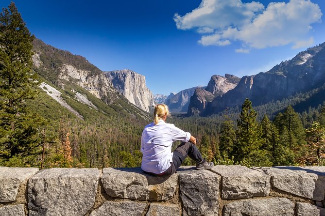 Yosemite Highlights & Giant Sequoias Day Tour from San Francisco - Tunnel View gives you the classic first look