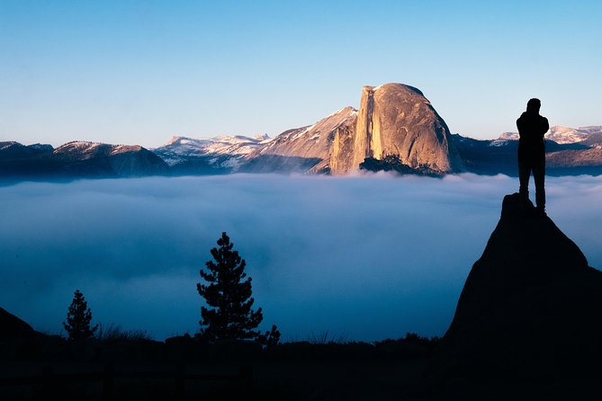 Yosemite National Park 2-Day Tour from San Francisco with Lodging - Tuolumne Grove and the first big walk